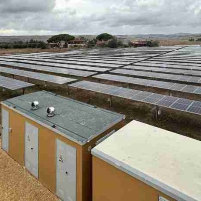 20231106_Fava 2 20231106_Fava 2